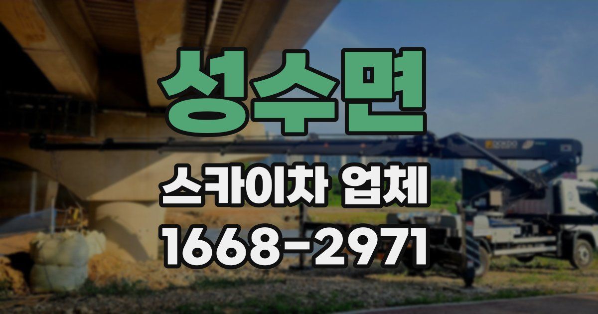 성수면 스카이차 업체