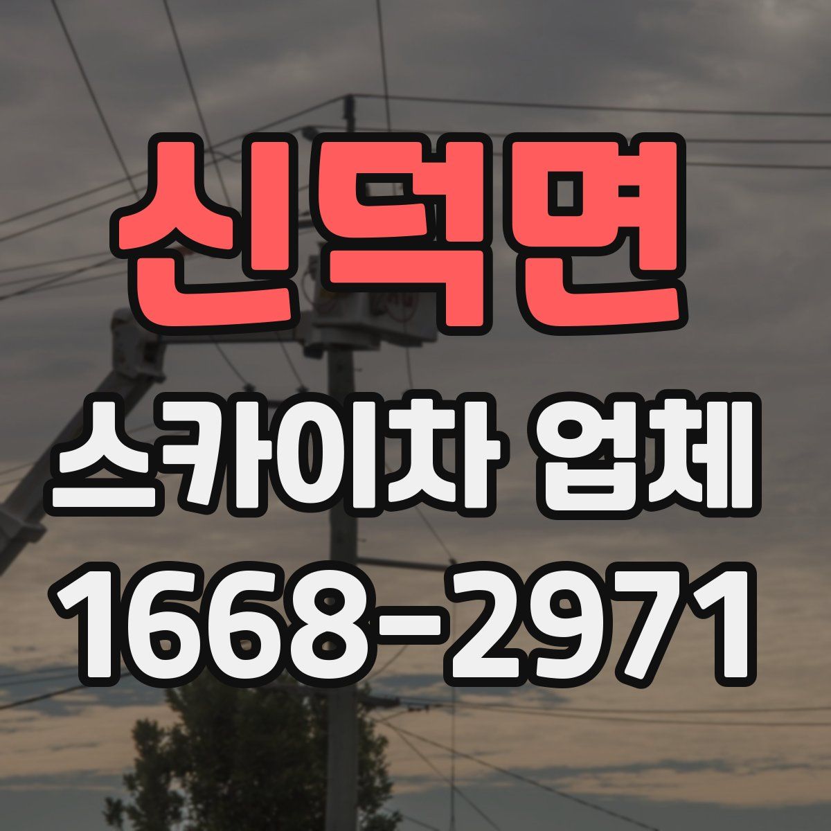 신덕면 스카이차 업체