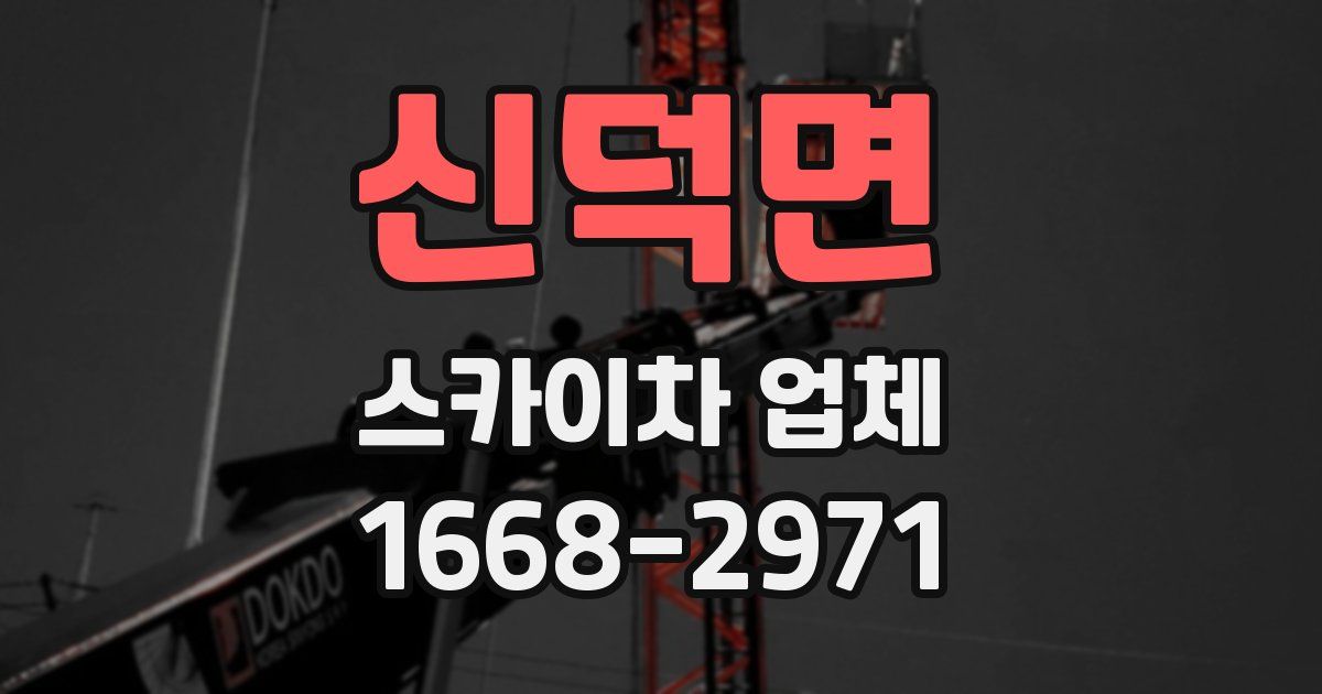 신덕면 스카이차 업체