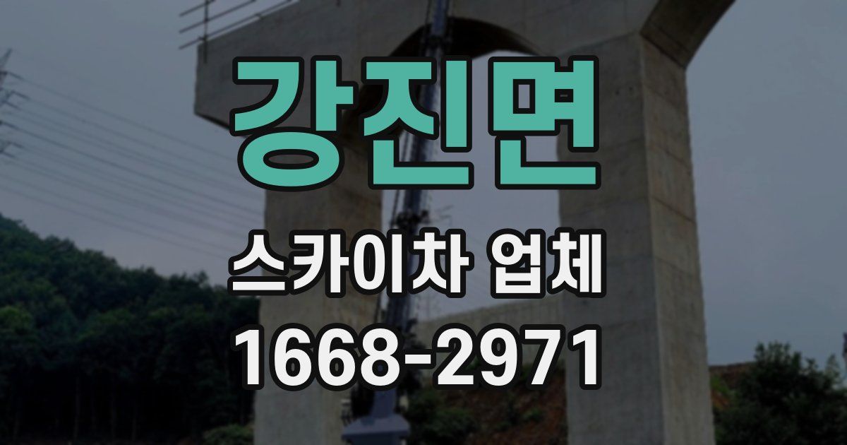 강진면 스카이차 업체