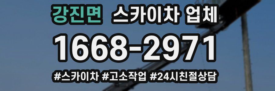 강진면 스카이차 업체