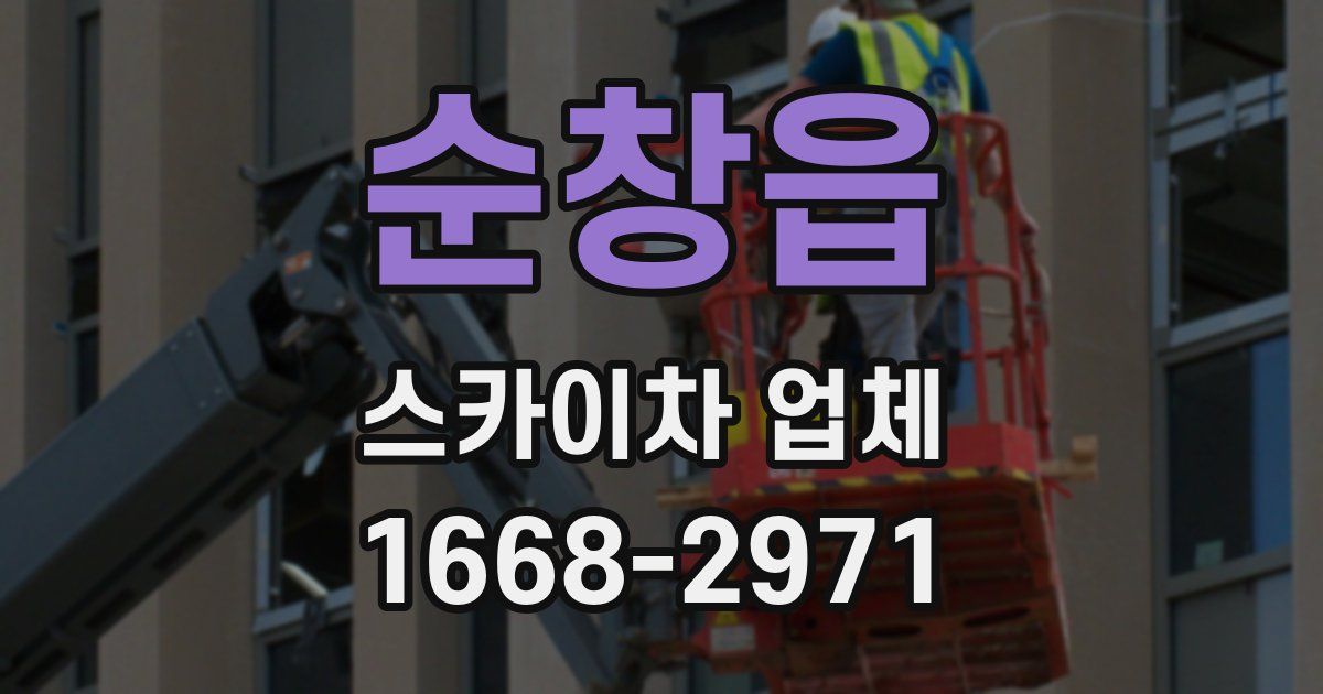 순창읍 스카이차 업체