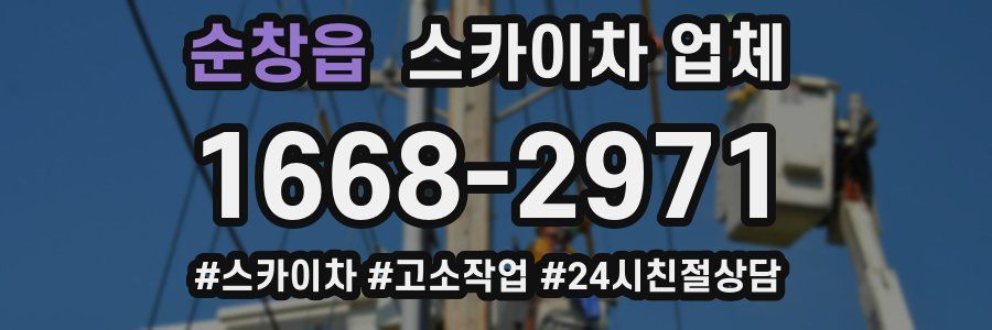 순창읍 스카이차 업체