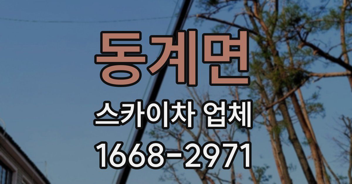 동계면 스카이차 업체