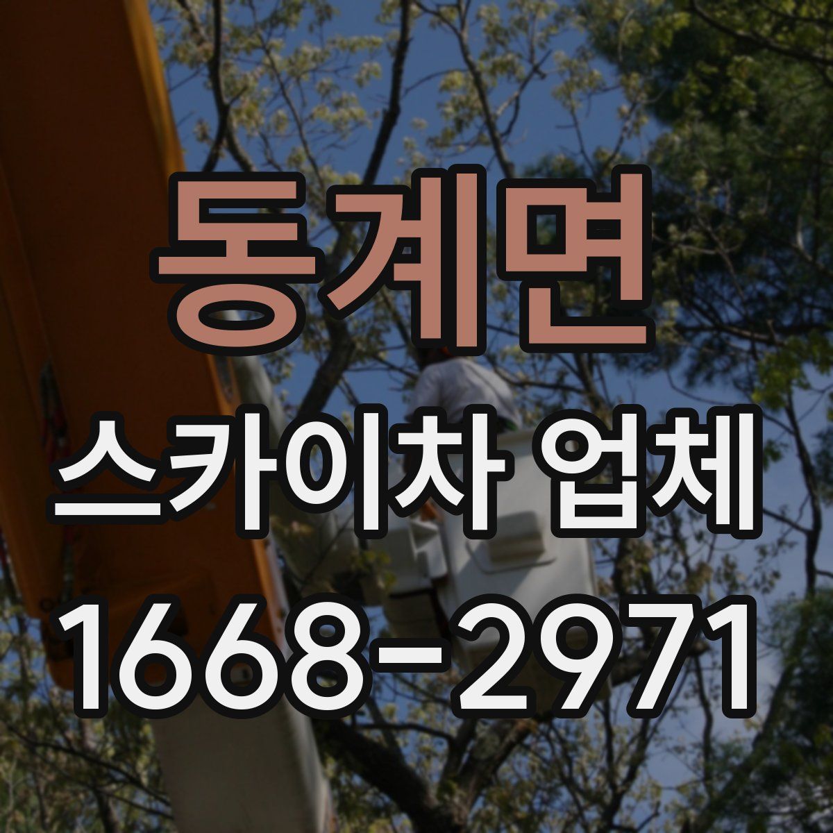 동계면 스카이차 업체