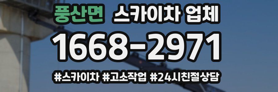 풍산면 스카이차 업체
