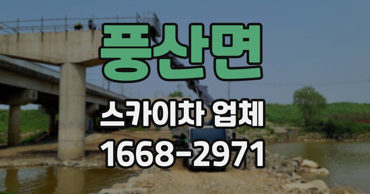 풍산면 스카이차 업체