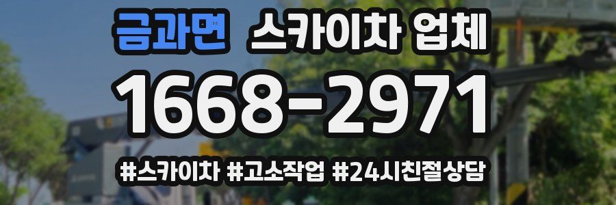 금과면 스카이차 업체