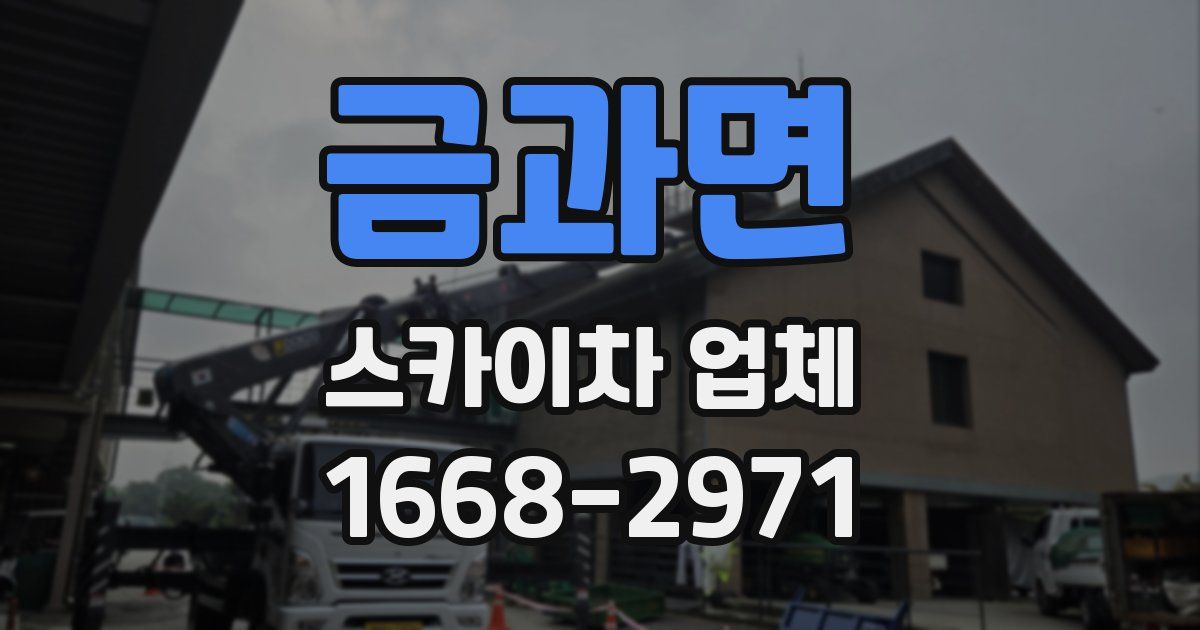 금과면 스카이차 업체