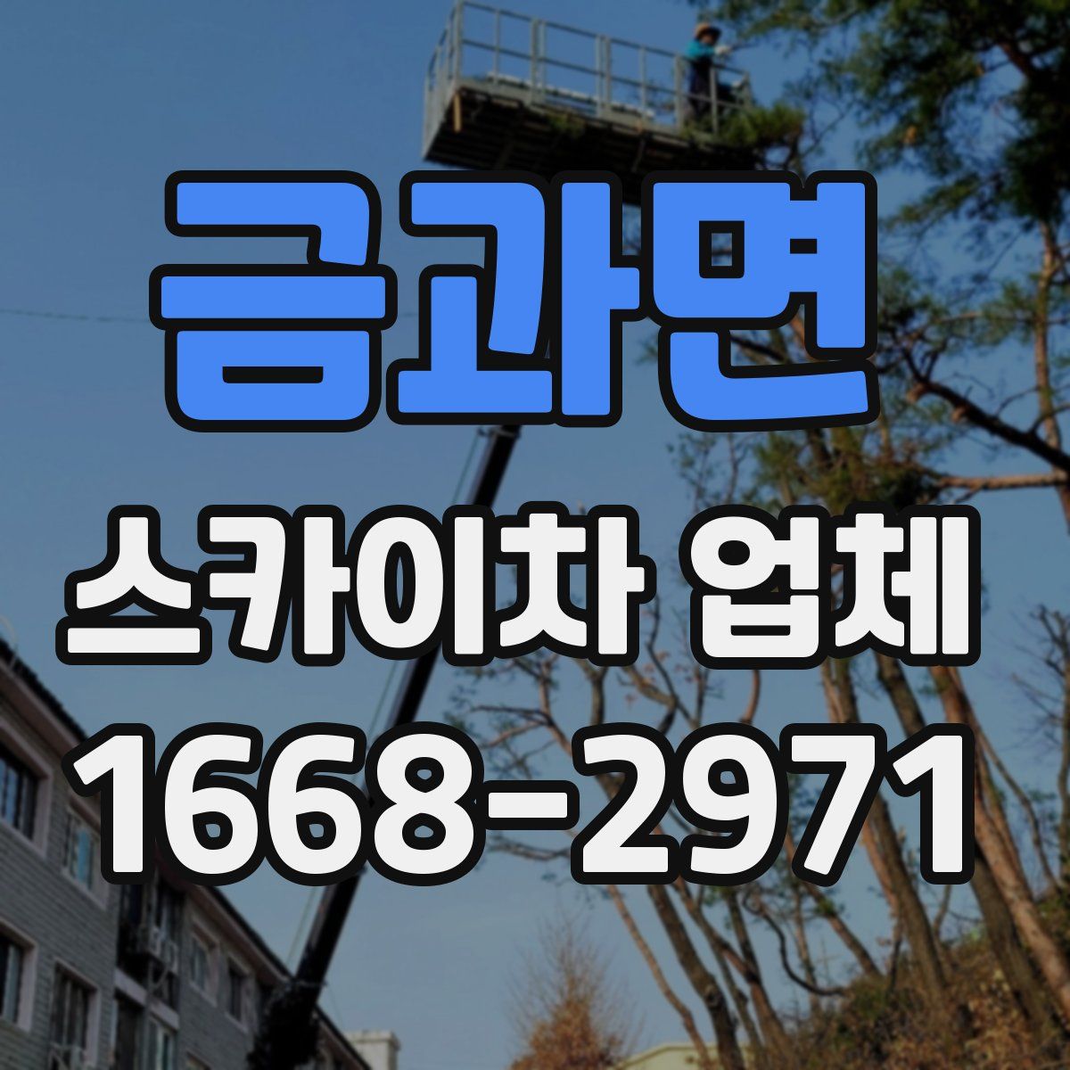 금과면 스카이차 업체