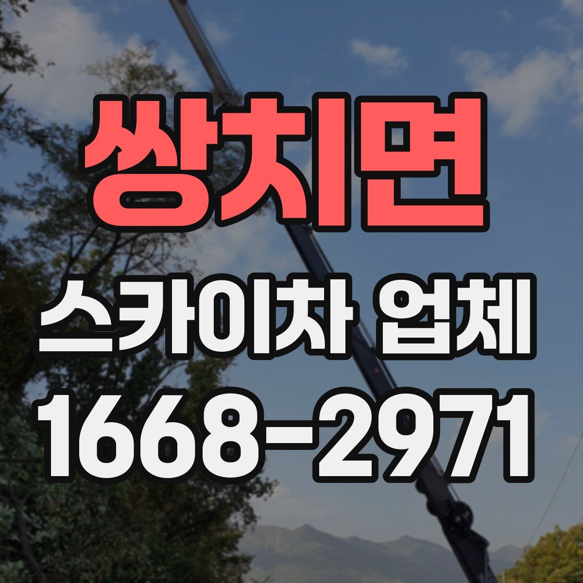 쌍치면 스카이차 업체