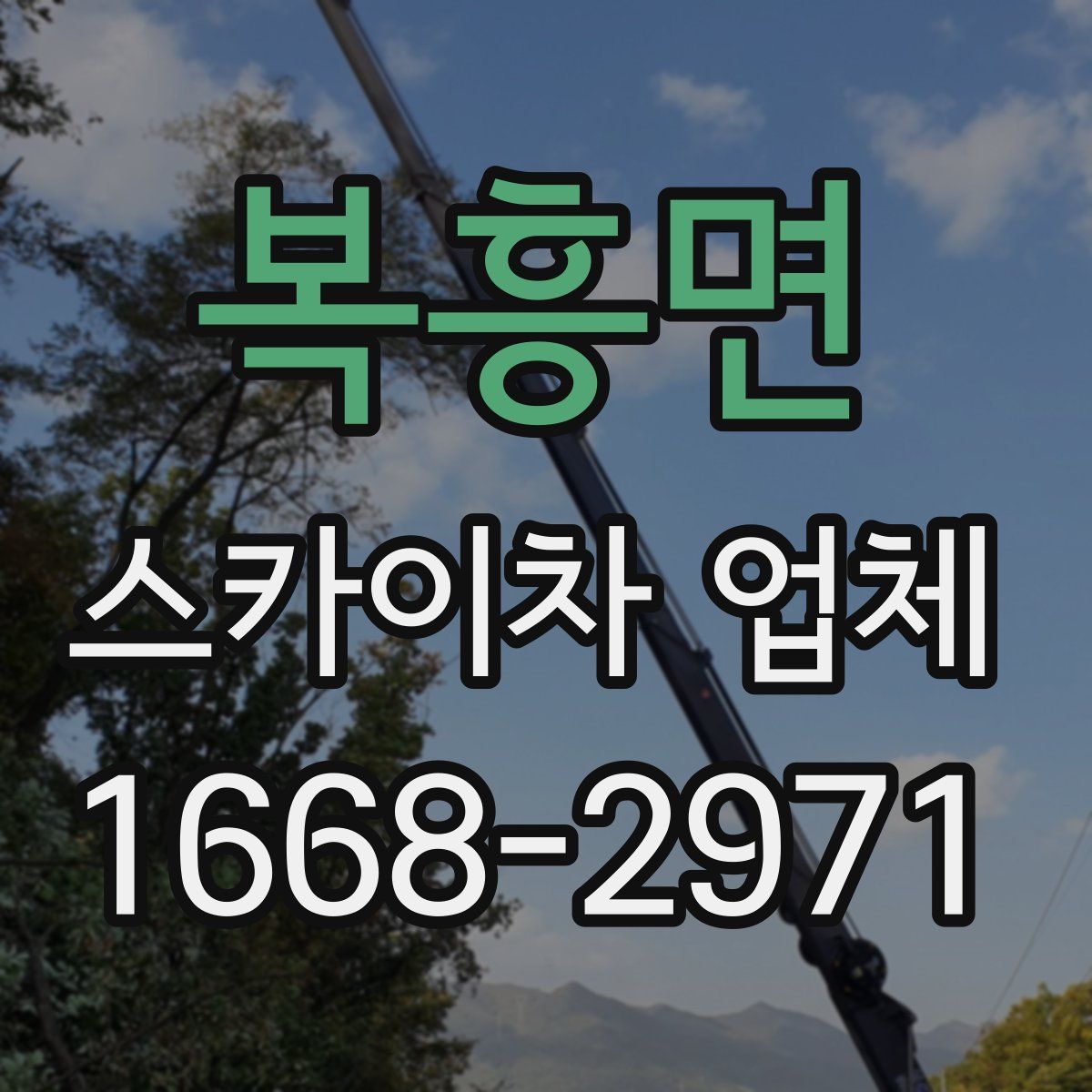 복흥면 스카이차 업체