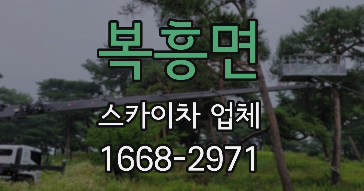 복흥면 스카이차 업체