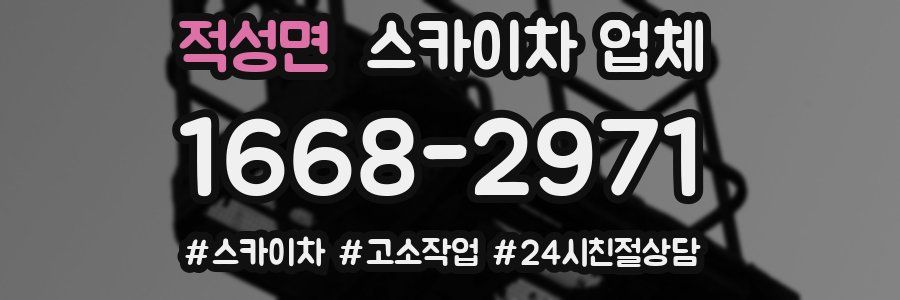 적성면 스카이차 업체