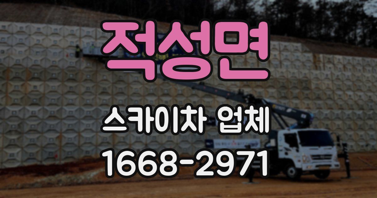 적성면 스카이차 업체