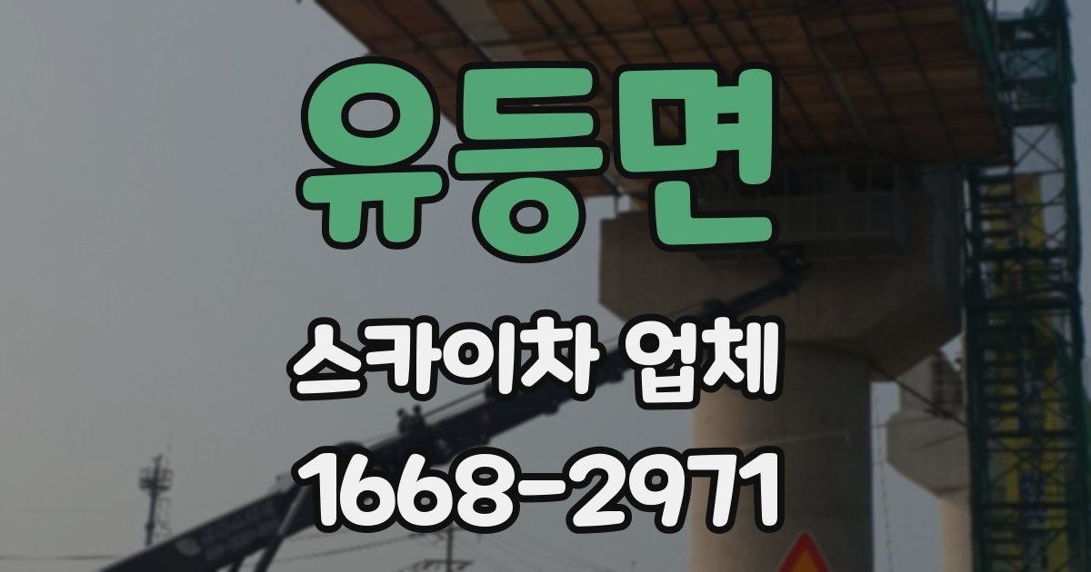 유등면 스카이차 업체