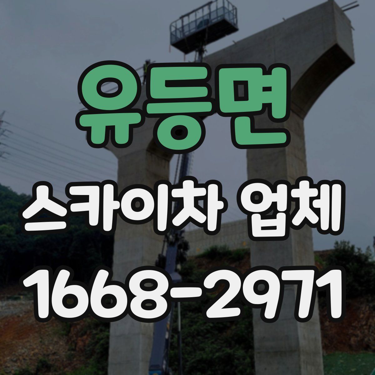 유등면 스카이차 업체