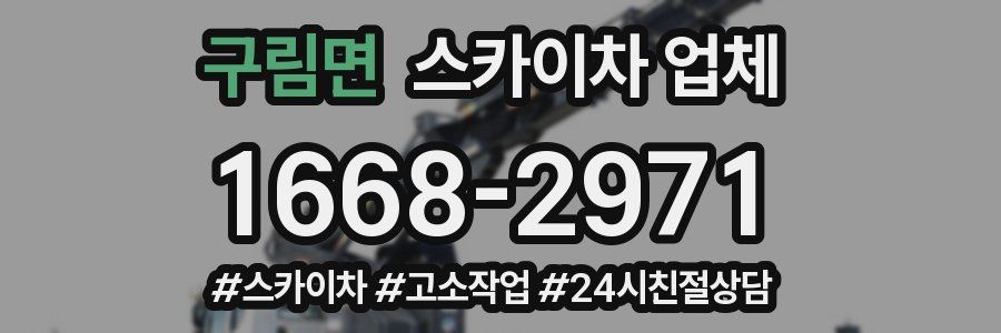 구림면 스카이차 업체