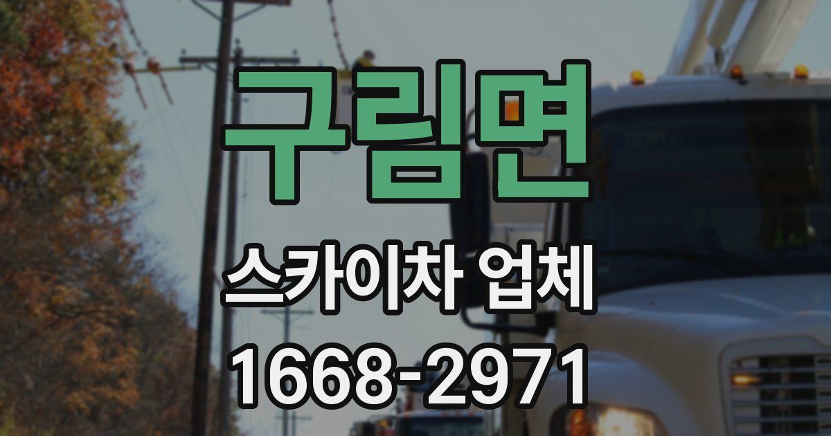 구림면 스카이차 업체