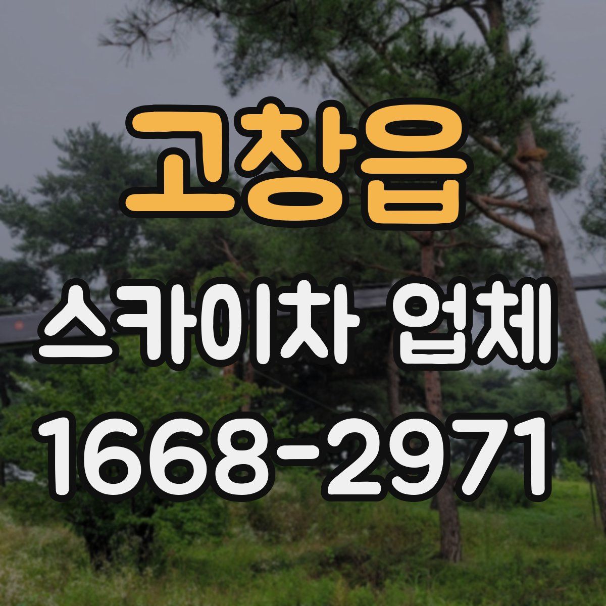 고창읍 스카이차 업체
