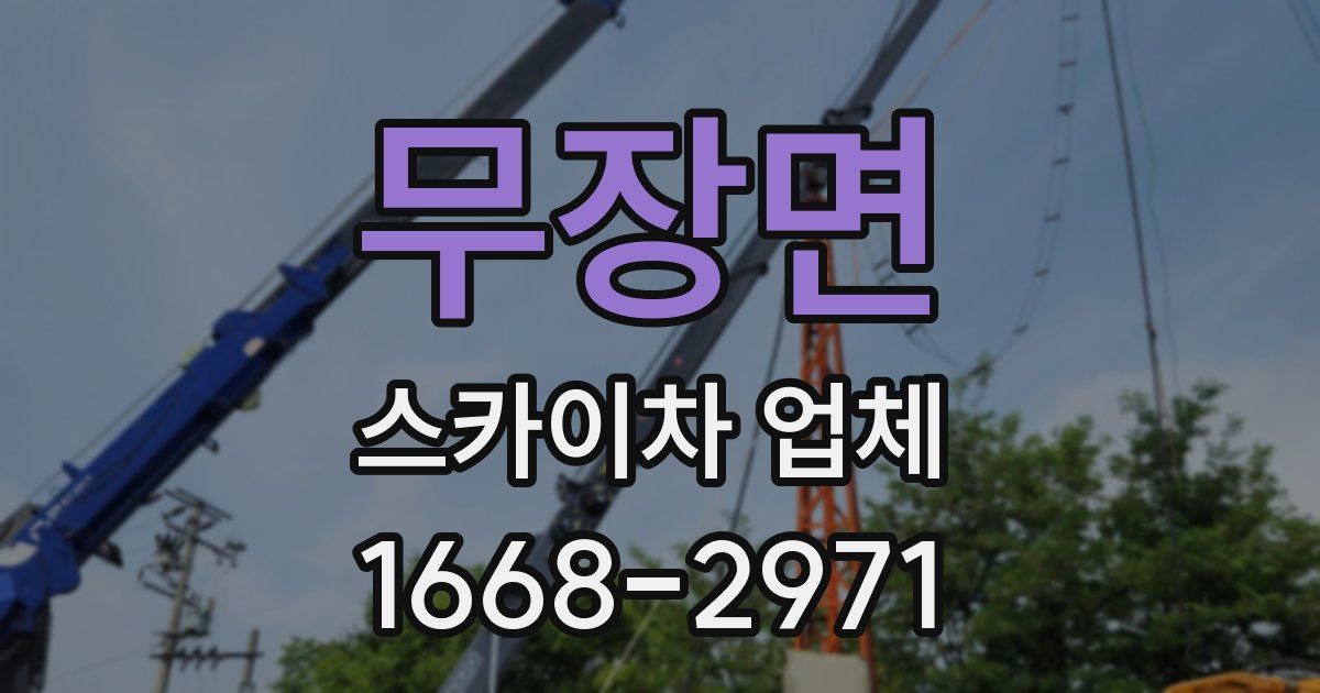 무장면 스카이차 업체