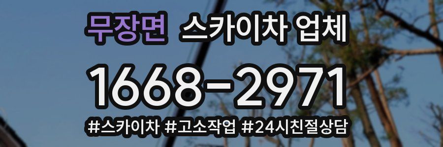 무장면 스카이차 업체