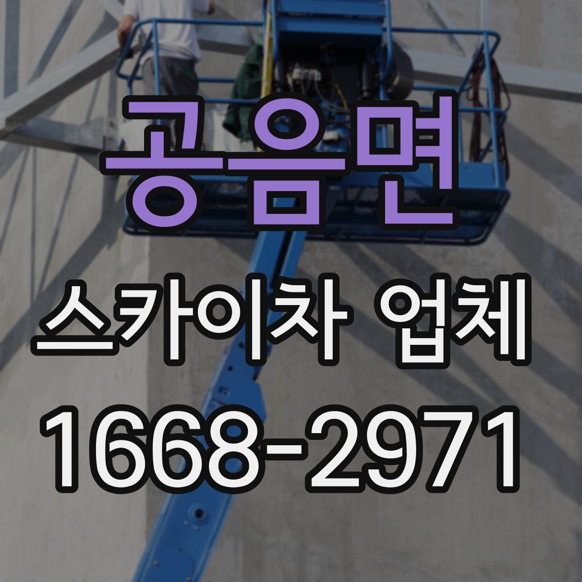 공음면 스카이차 업체