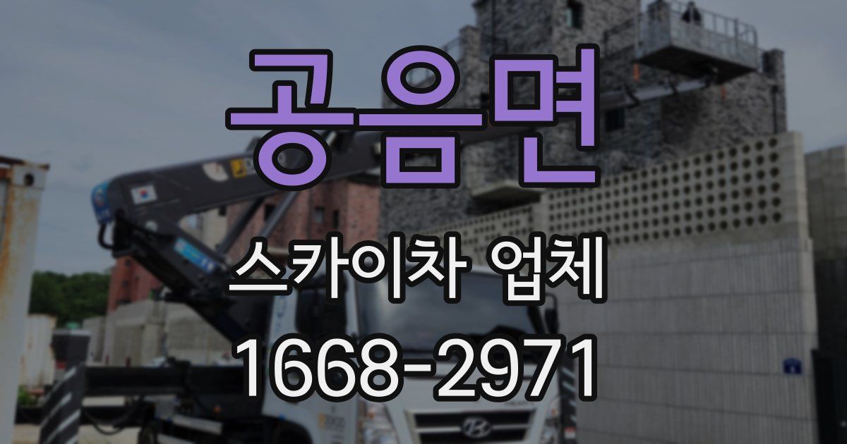 공음면 스카이차 업체