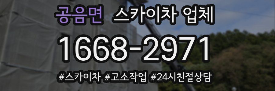공음면 스카이차 업체