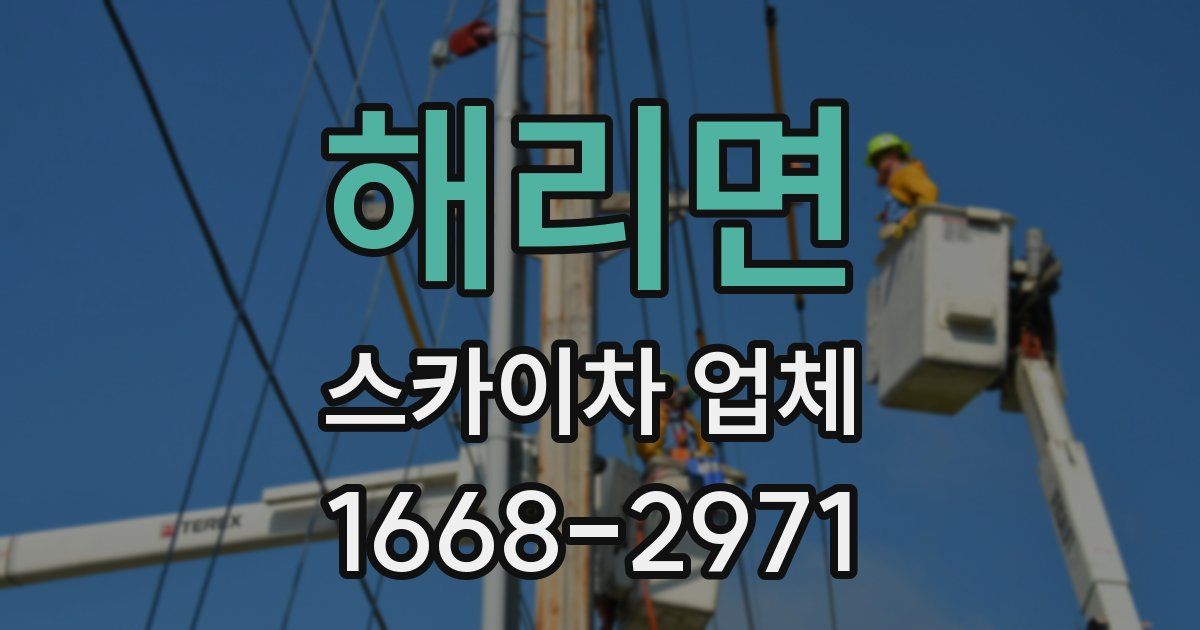 해리면 스카이차 업체