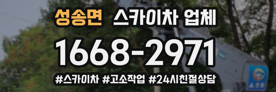 성송면 스카이차 업체