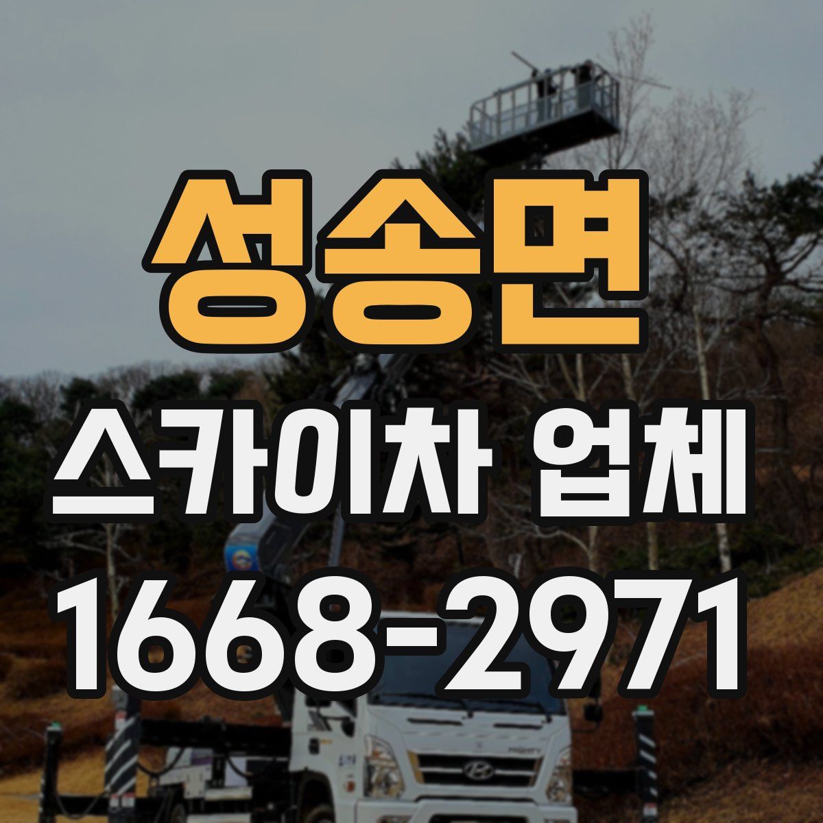 성송면 스카이차 업체
