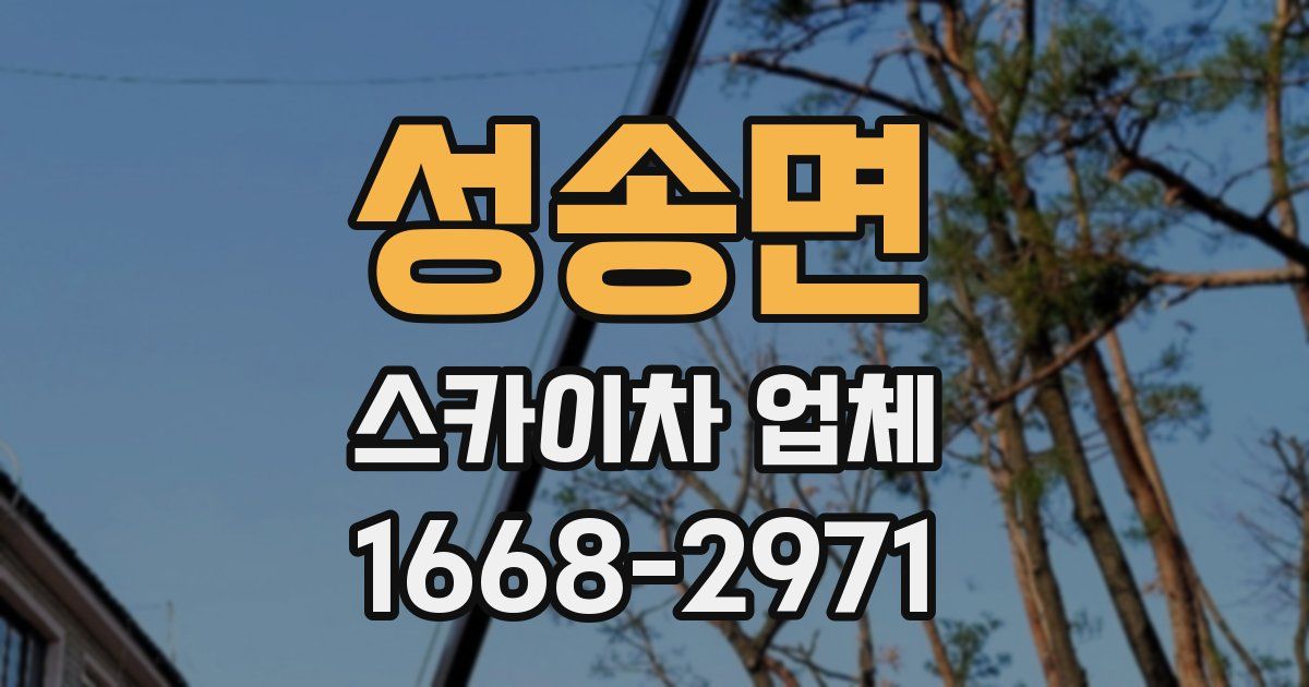 성송면 스카이차 업체