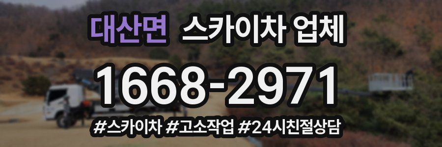 대산면 스카이차 업체