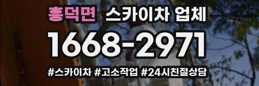 흥덕면 스카이차 업체