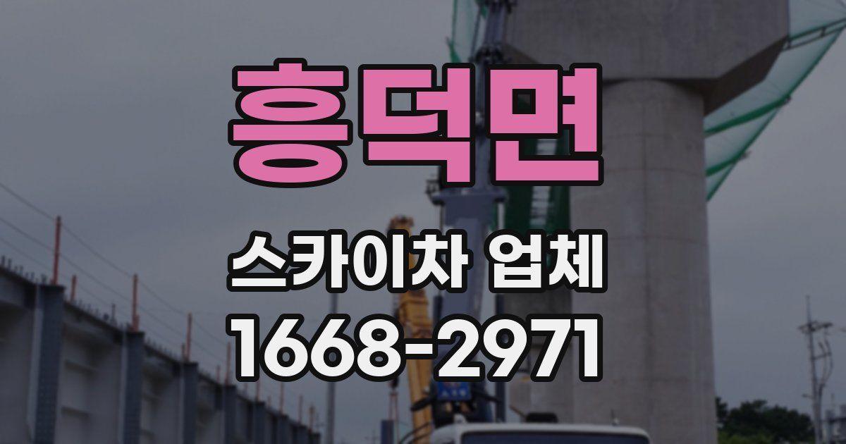 흥덕면 스카이차 업체