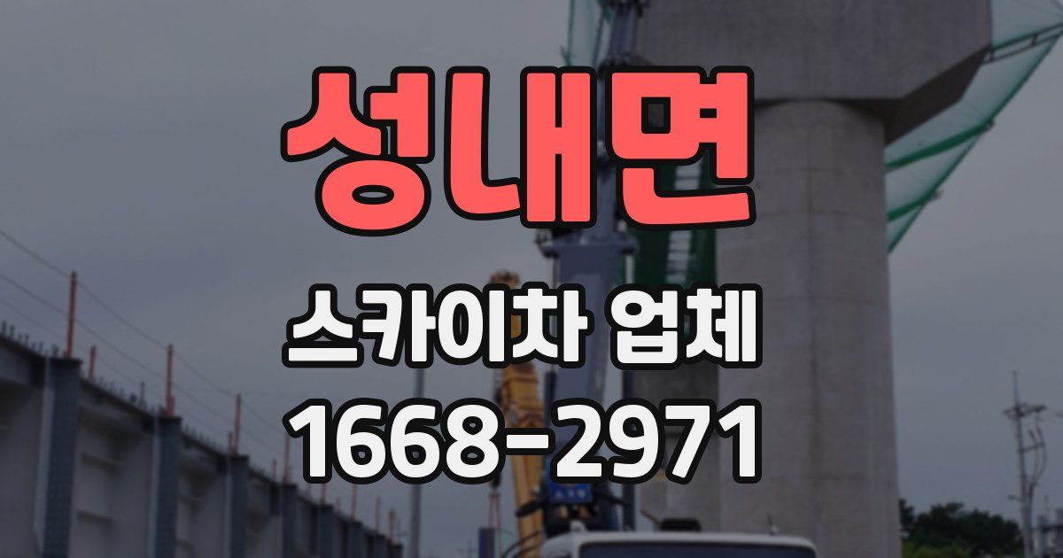 성내면 스카이차 업체
