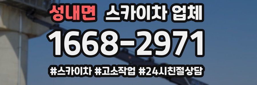 성내면 스카이차 업체