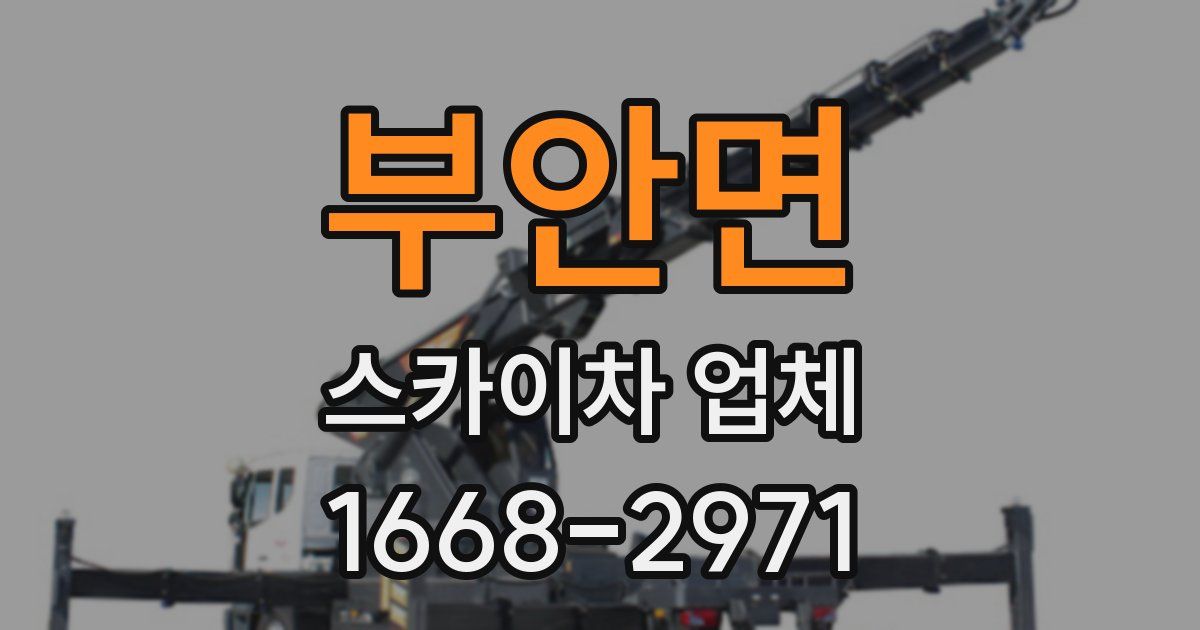 부안면 스카이차 업체