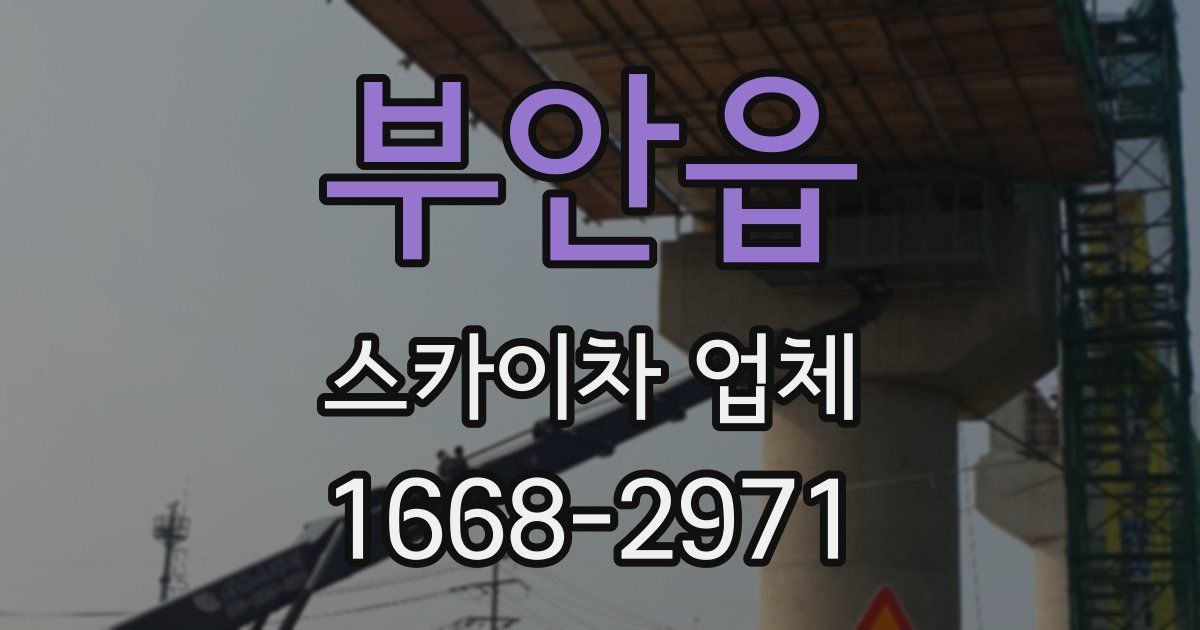 부안읍 스카이차 업체