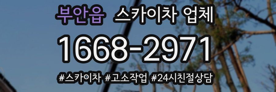 부안읍 스카이차 업체