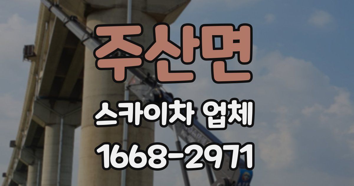 주산면 스카이차 업체