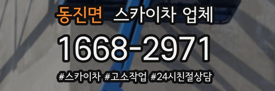 동진면 스카이차 업체