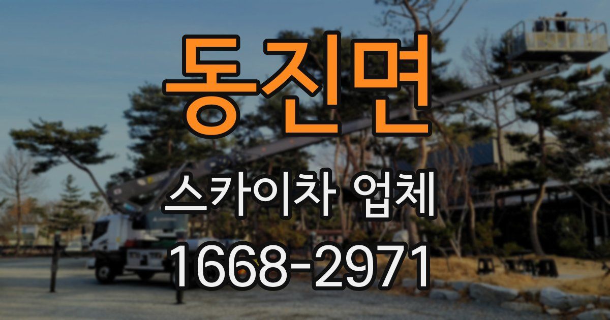 동진면 스카이차 업체