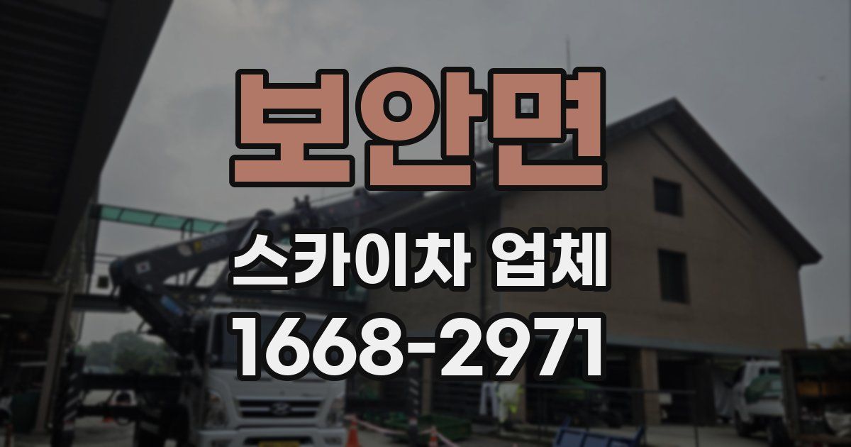 보안면 스카이차 업체