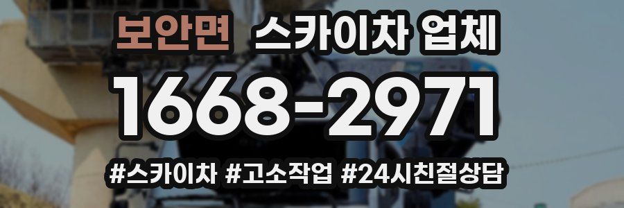 보안면 스카이차 업체