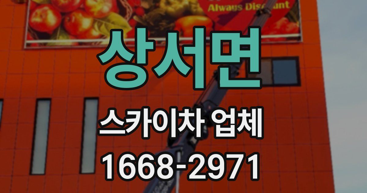 상서면 스카이차 업체