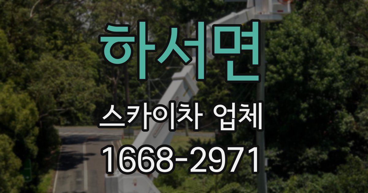 하서면 스카이차 업체