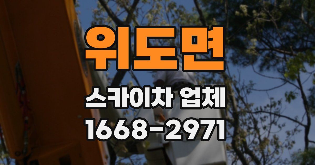 위도면 스카이차 업체