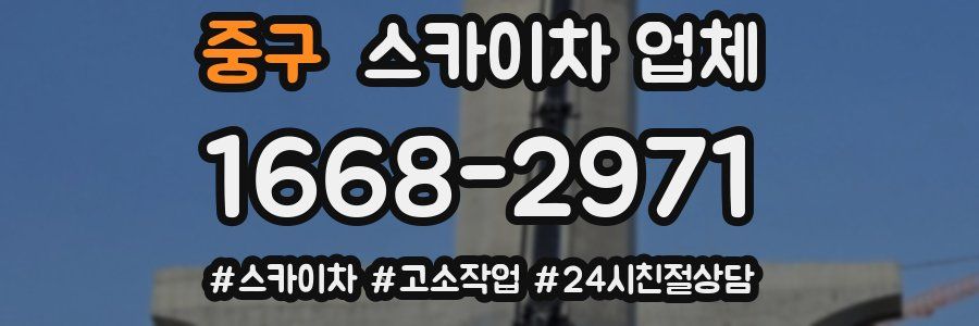 중구 스카이차 업체